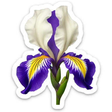 iris flower sticker