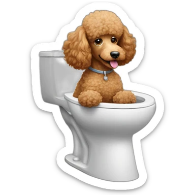 Light brown poodle in a toilet sticker