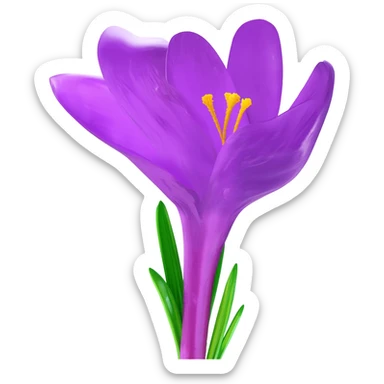Crocus sticker