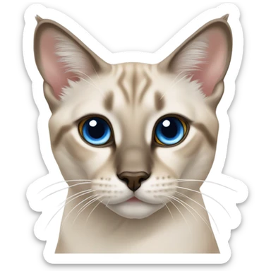 Lynx point Siamese  sticker