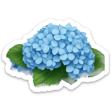 Blue hydrangea sticker