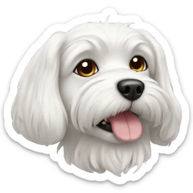 Maltipu dog sticker