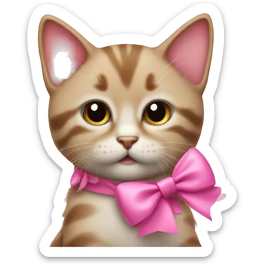 A kitten with a pink bow being sassy  sticker