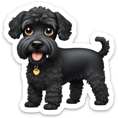 schnauzer cross mini poodle black dog sticker