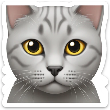 Light grey british shorthair cat  sticker