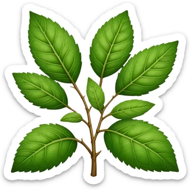 yerba mate leaf sticker