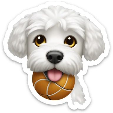 Perro caniche toy blanco con una pelota en la boca sticker