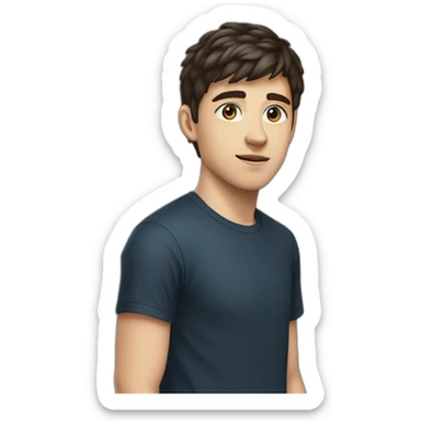 portrait of 18 years old guy, dark brown hair bangs to the left, blue gray eyes, black T-shirt sticker