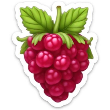 Framboise fruit sticker