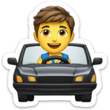 a boy driving a car sticker