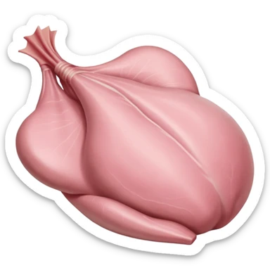 turkey breast before cooking sticker