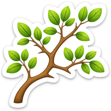 ramo della matematica sticker