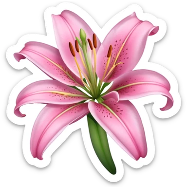 Aesthetic pink lily sticker