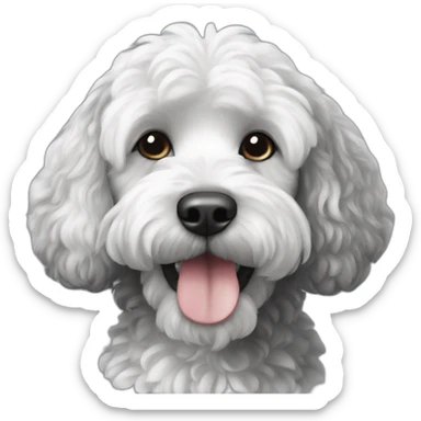 black and white black cockapoo sticker