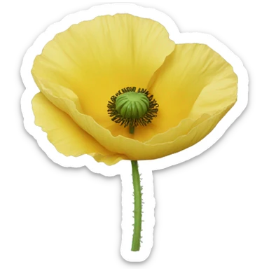 Yellow poppy sticker