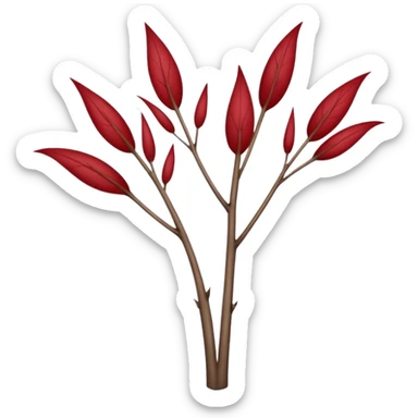 cornus with red stems in winter sticker