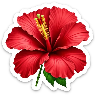 Vibrant red cotton rose hibiscus flower with large petals and prominent stamen sticker