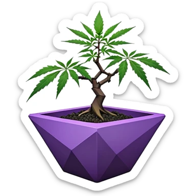  small short black bonsai pot plant purple marijuana maple with triangular angular faceted asymmetrical originally shaped body  sticker