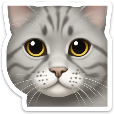 a Scottish fold-eared cat with a white spot on the muzzle on the left where the whiskers grow sticker