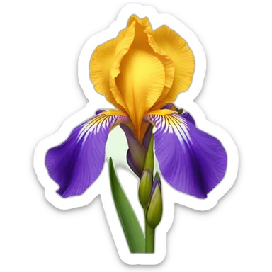 iris flower sticker