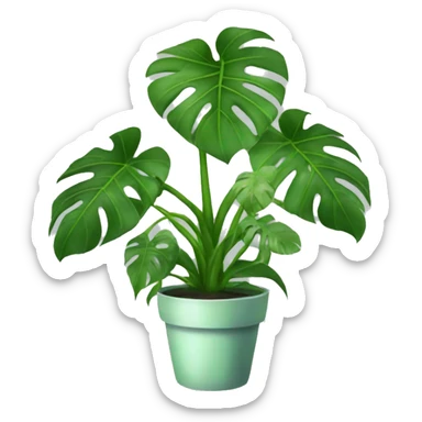 monstera plant  sticker