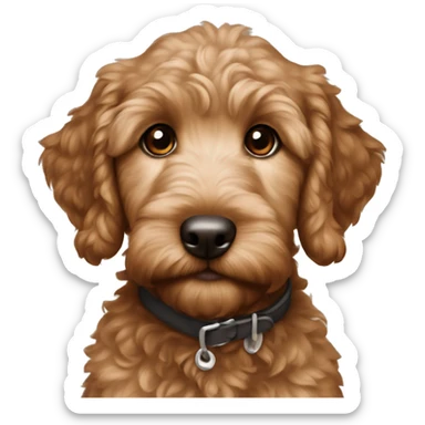 Little brown golden doodle puppy  sticker