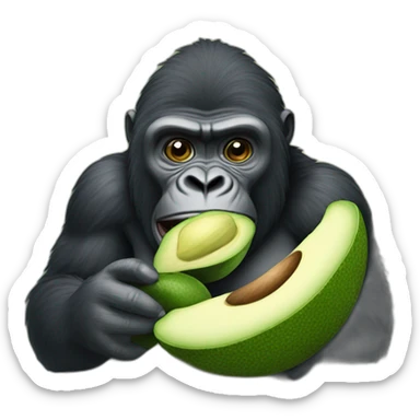 Gorila comiendo aguacate  sticker