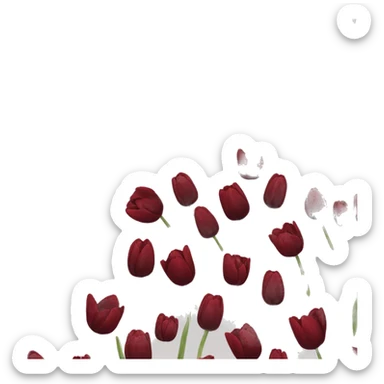 Dark red tulips sticker