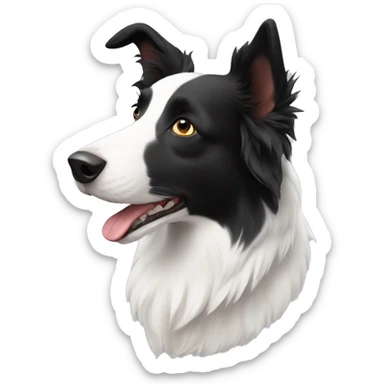 White border collie with one black ear sticker