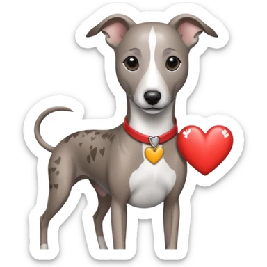 brindle grey whippet hearts sticker