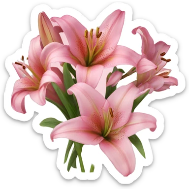 Bouquet pink of lilies sticker