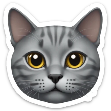 Face of gray British cat  sticker