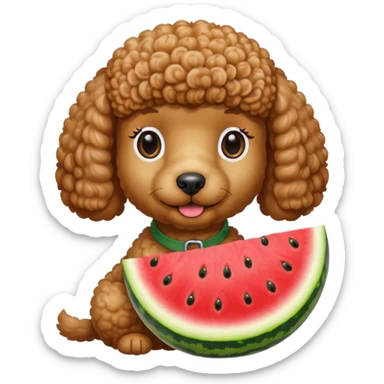 poodle with brown eyebrows holding a watermelon sticker