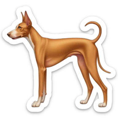 Pharaoh hound dog full body sticker
