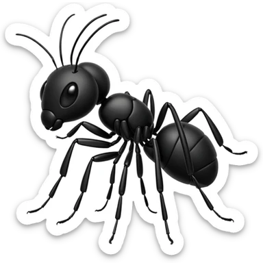 An ant that record the padkaat and name of that ant is Mansour Morchehzadeh sticker