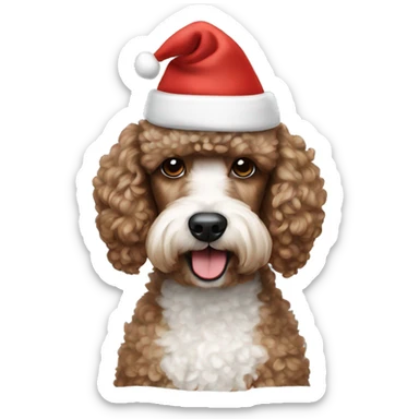 Brown and white Poodle wearing a Santa hat sticker