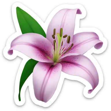 lilly flower sticker