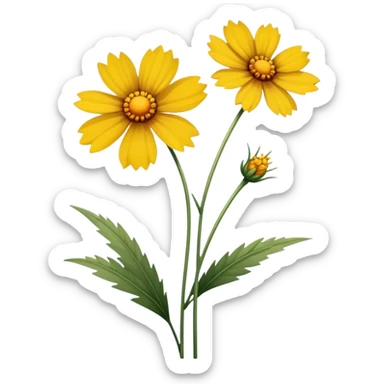 single Coreopsis, straight stem sticker