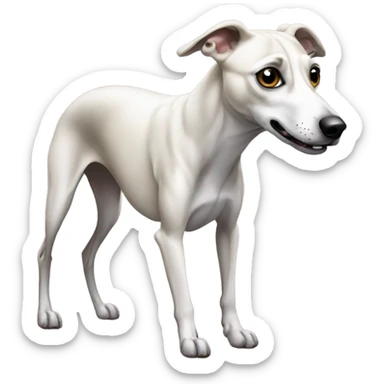 Whippet pooping sticker