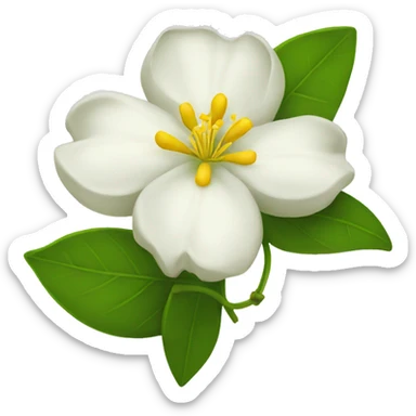 Jasmin flower sticker