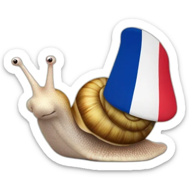 stuffed animal snail with French flag sticker