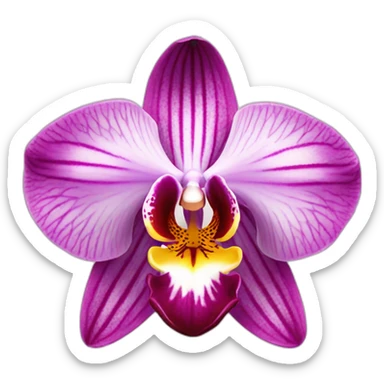 Orchidea sticker