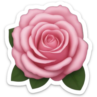 Rose blackpink sticker