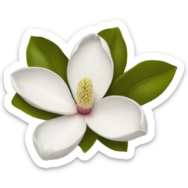 Magnolia flower sticker
