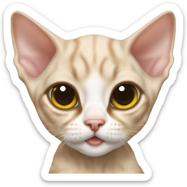 Devon rex kitten sticker
