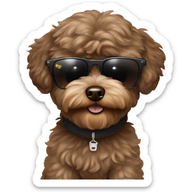Dark brown maltipoo with sunglasses  sticker