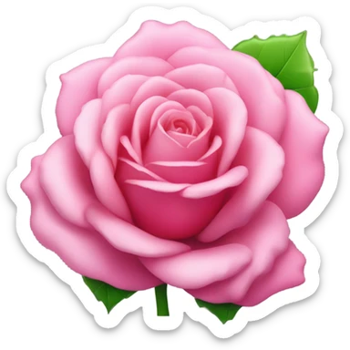 Rosa sticker