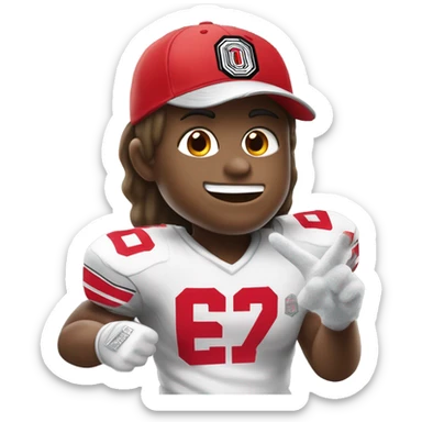 Ohio state fan sticker