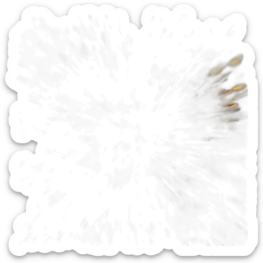 Explosion🫤 sticker