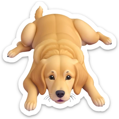 realistic golden retriever laying down, belly up sticker